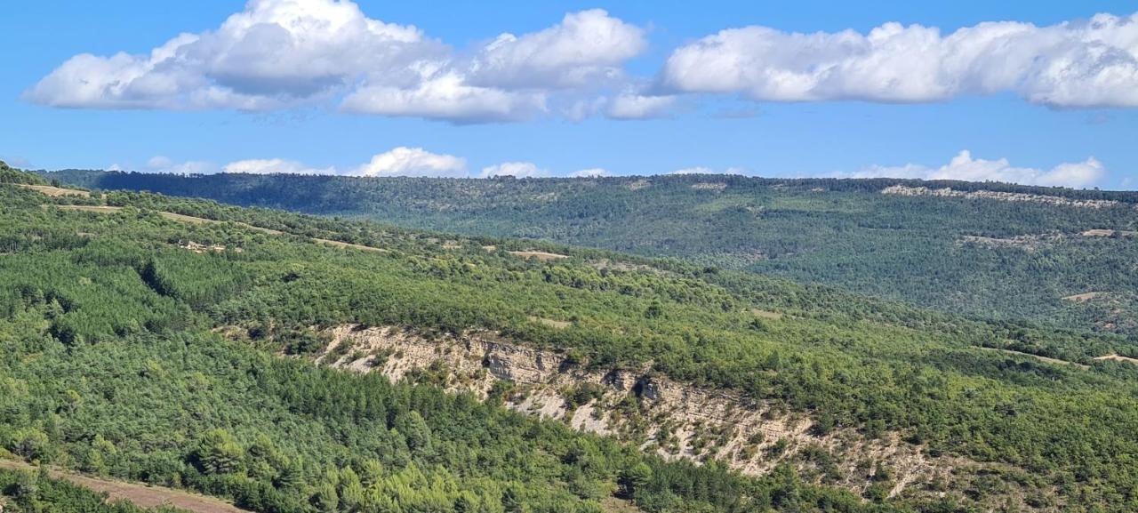 Hebergements Insolites - Detente En Luberon Viens Exterior foto