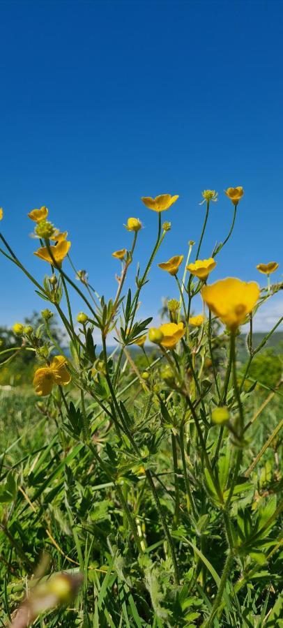 Hebergements Insolites - Detente En Luberon Viens Exterior foto