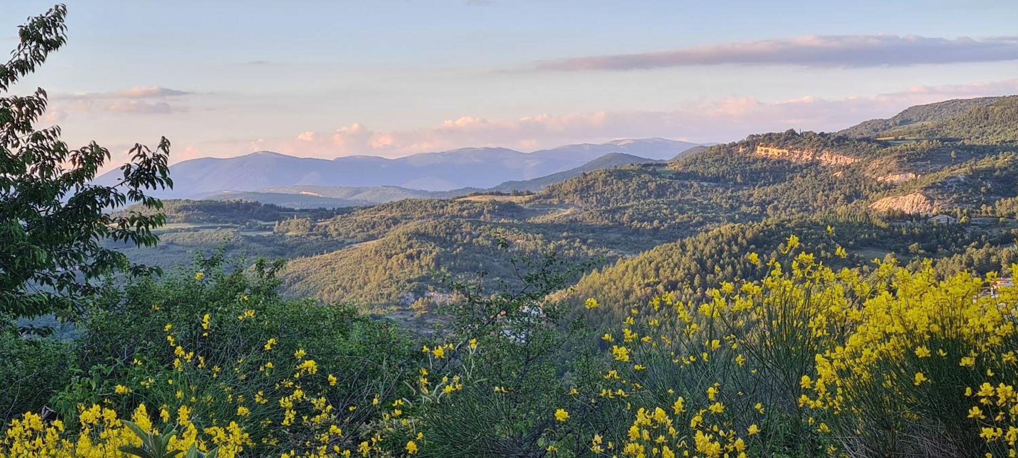 Hebergements Insolites - Detente En Luberon Viens Exterior foto