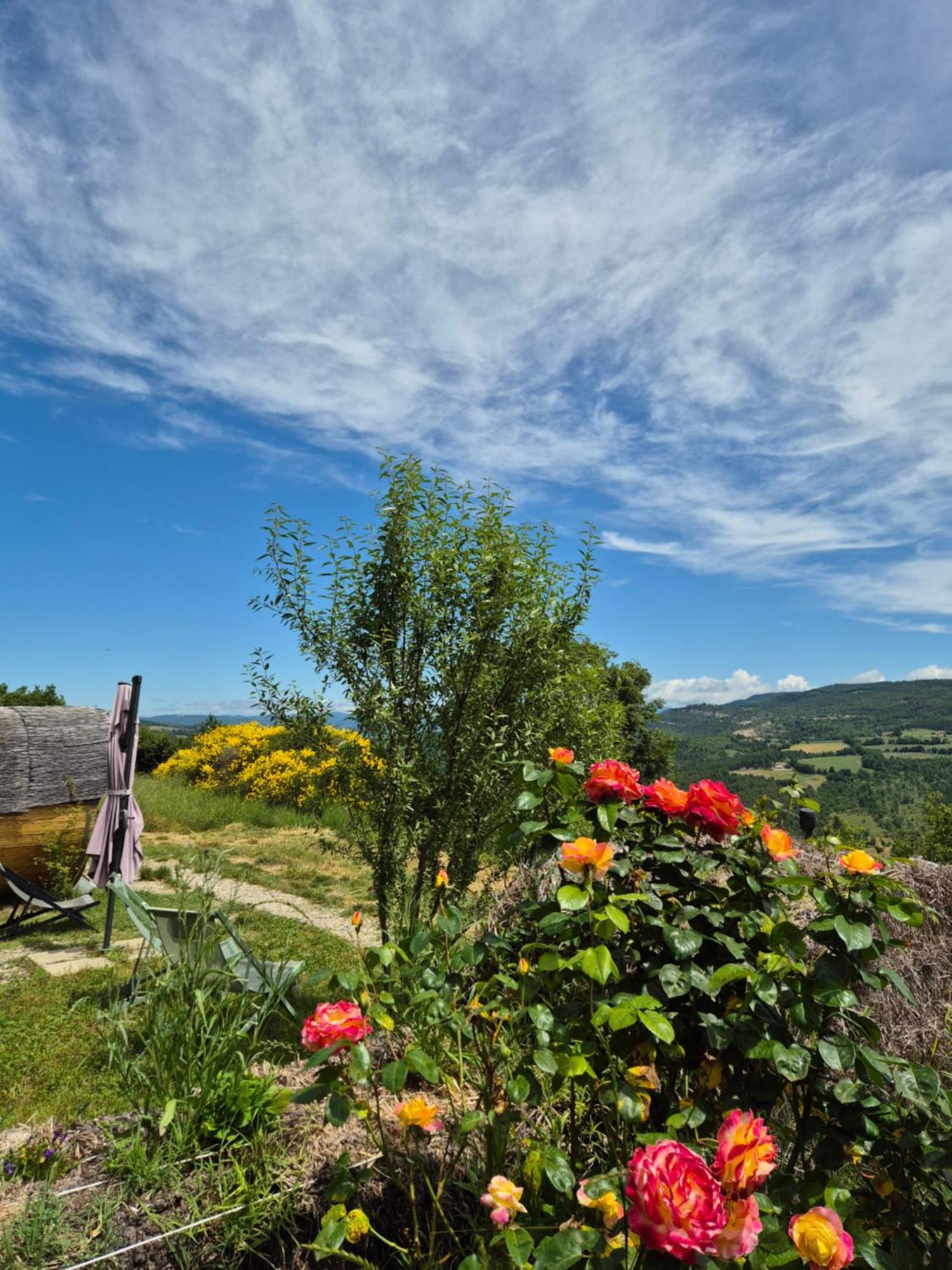 Hebergements Insolites - Detente En Luberon Viens Exterior foto